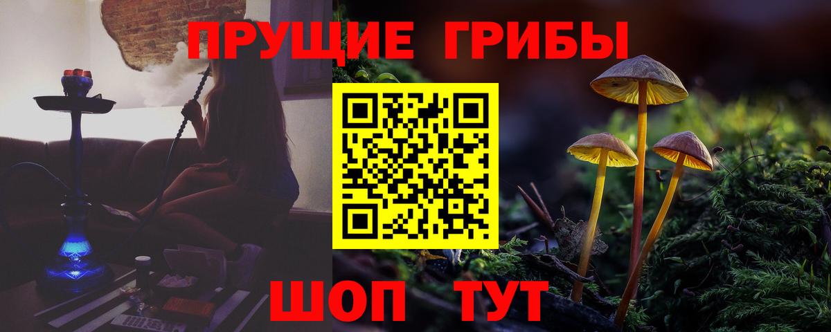 Десногорск  Галлюциногенные грибы GOLDEN TEACHER  Вход с VPN 